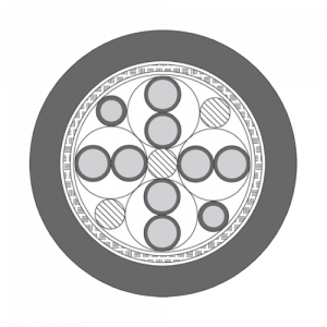 Encoder - Feedback