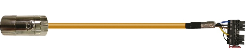 Equivalentes